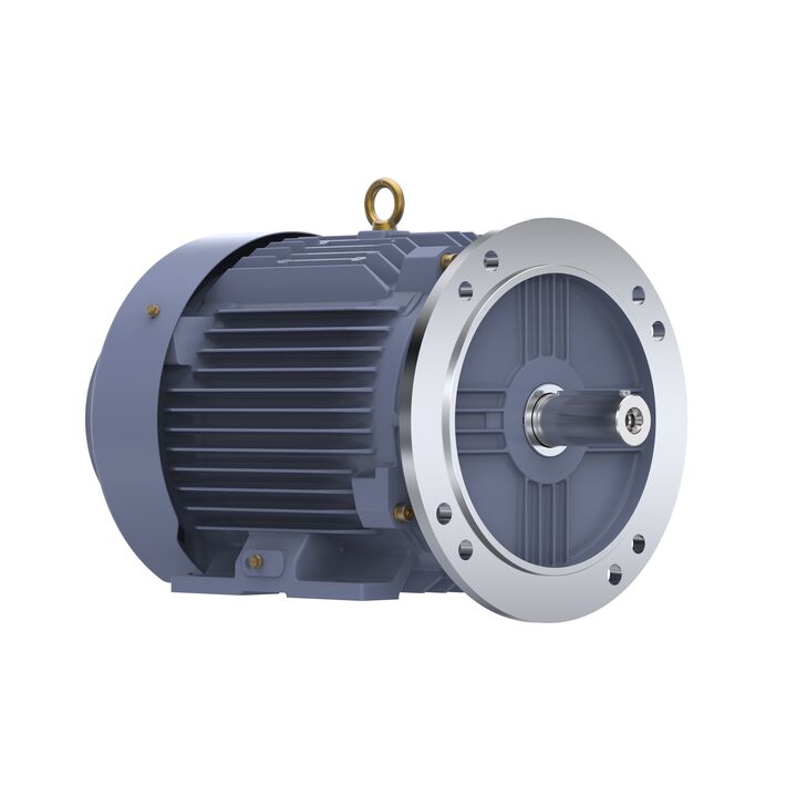 Cast Iron Motor, 10 HP, 3 Ph, 50 Hz, 380 V, 1500 RPM, 132M Frame, TEFC