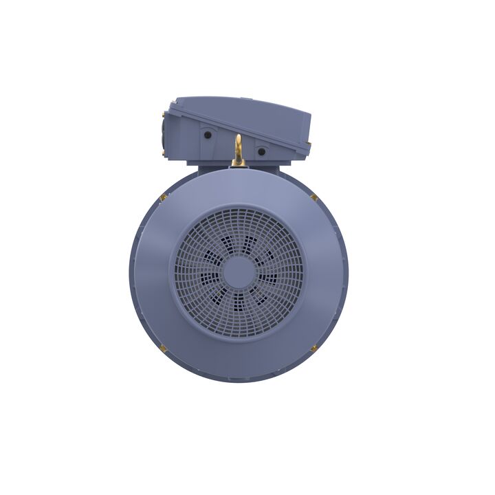 Cast Iron Motor, 270 HP, 3 Ph, 50 Hz, 415 V, 355L Frame