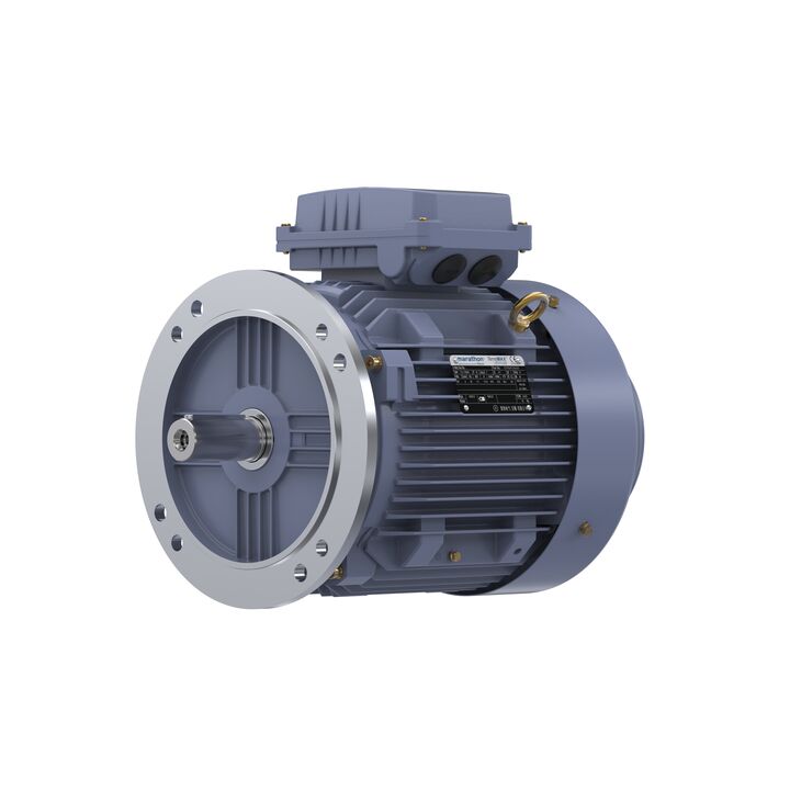 Cast Iron Motor, 4 HP, 3 Ph, 50 Hz, 380 V, 1000 RPM, 132S Frame, TEFC