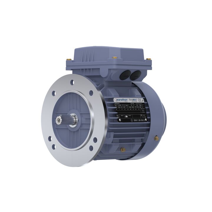 Cast Iron Motor, 1.50 HP, 3 Ph, 50 Hz, 380 V, 3000 RPM, 80M Frame, TEFC