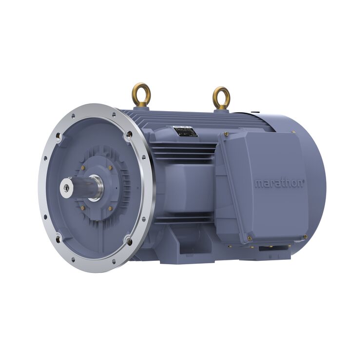 Cast Iron Motor, 270 HP, 3 Ph, 50 Hz, 380 V, 1000 RPM, 355M Frame, TEFC