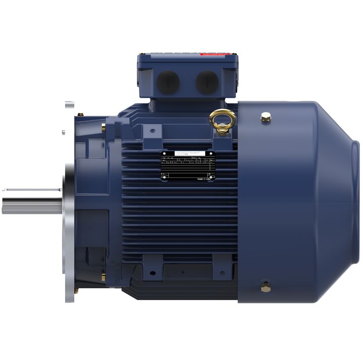Increased Safety Motors Ex eb, Totally Enclosed Fan Cooled, 10 HP, 3 Ph, 50 Hz, 400 V, 978 RPM, 160M Frame