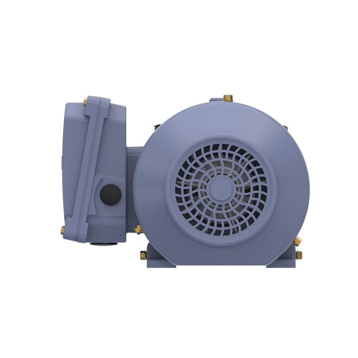 Cast Iron Motor, 1 HP, 3 Ph, 50 Hz, 380 V, 1500 RPM, 80M Frame, TEFC
