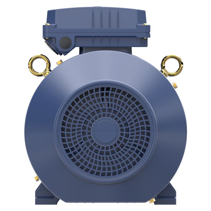Increased Safety Motors Ex eb, Totally Enclosed Fan Cooled, 4 HP, 3 Ph, 50 Hz, 400 V, 973 RPM, 132S Frame