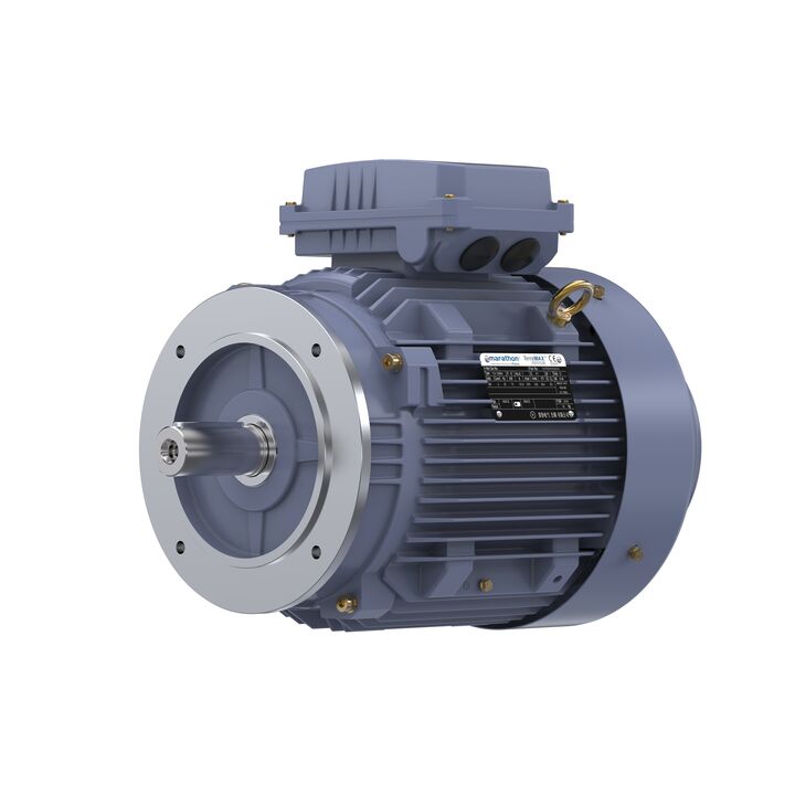Cast Iron Motor, 4 HP, 3 Ph, 50 Hz, 380 V, 1000 RPM, 132S Frame, TEFC