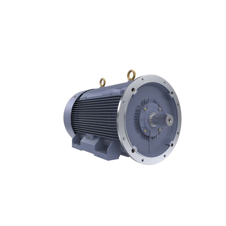 Cast Iron Motor, 270 HP, 3 Ph, 50 Hz, 415 V, 355L Frame