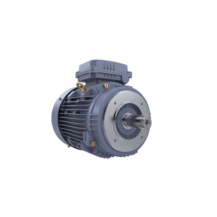 Cast Iron Motor, 5.50 HP, 3 Ph, 50 Hz, 400 V, 1000 RPM, 132M Frame, TEFC