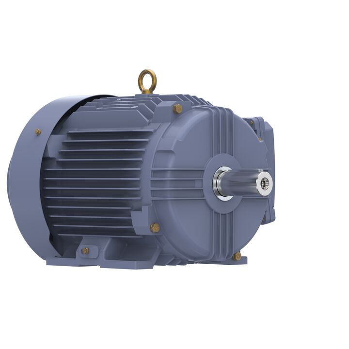 Cast Iron Motor, 10 HP, 3 Ph, 50 Hz, 380 V, 1500 RPM, 132M Frame, TEFC