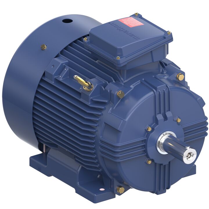 Increased Safety Motors Ex eb, Totally Enclosed Fan Cooled, 12.5 HP, 3 Ph, 50 Hz, 400 V, 980 RPM, 160L Frame