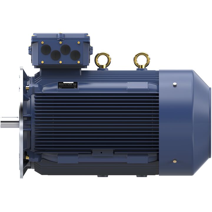 Cast Iron Motor, 335 HP, 3 Ph, 50 Hz, 400 V, 3000 RPM, 355M Frame, TEFC