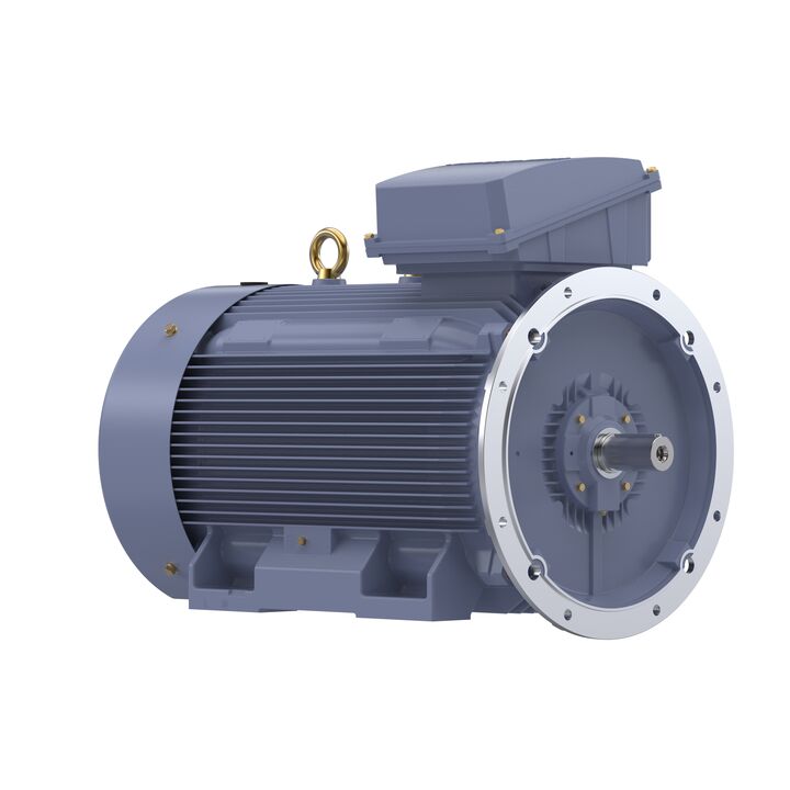 Cast Iron Motor, 150 HP, 3 Ph, 50 Hz, 415 V, 355M Frame
