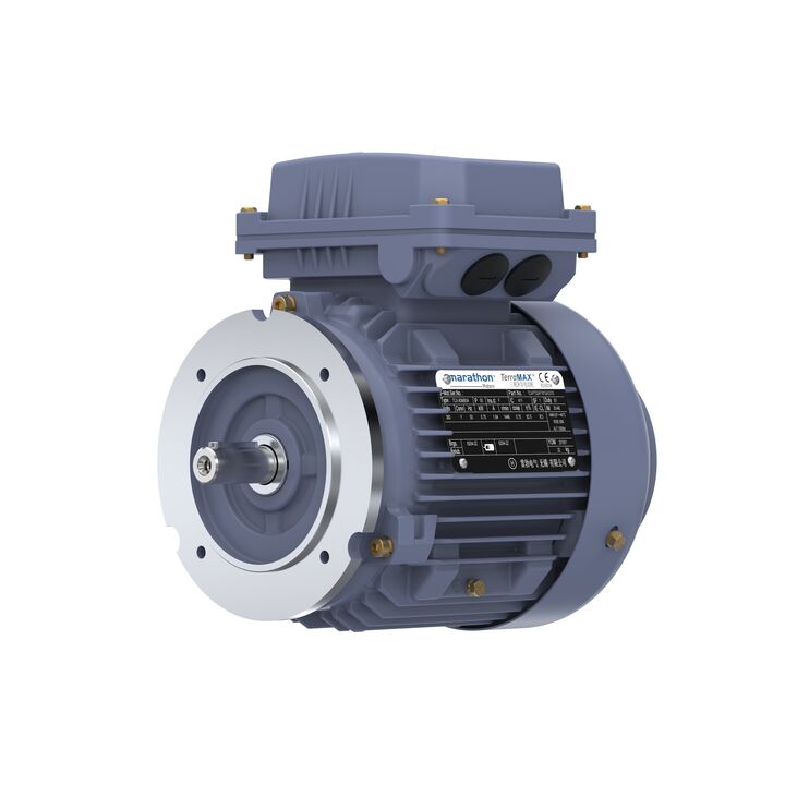 Cast Iron Motor, 1.50 HP, 3 Ph, 50 Hz, 380 V, 3000 RPM, 80M Frame, TEFC