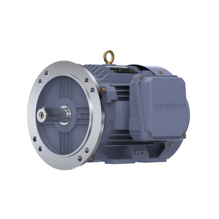Cast Iron Motor, 4 HP, 3 Ph, 50 Hz, 380 V, 1000 RPM, 132S Frame, TEFC