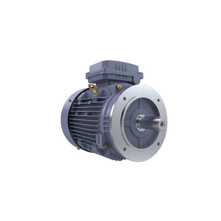 Cast Iron Motor, 5.50 HP, 3 Ph, 50 Hz, 400 V, 1000 RPM, 132M Frame, TEFC