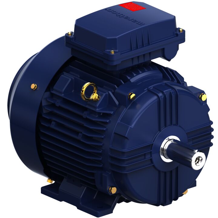 Cast Iron Motor, 4 HP, 3 Ph, 50 Hz, 400 V, 1000 RPM, 132S Frame, TEFC