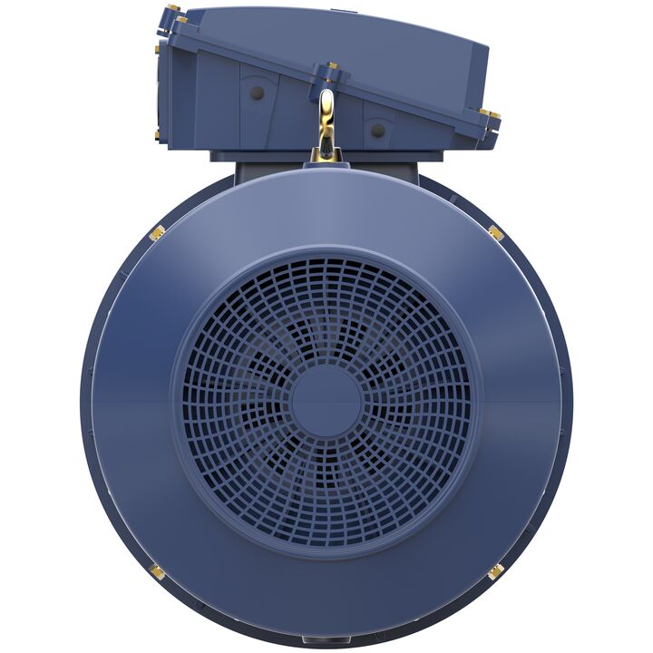 Cast Iron Motor, 335 HP, 3 Ph, 50 Hz, 400 V, 3000 RPM, 355M Frame, TEFC