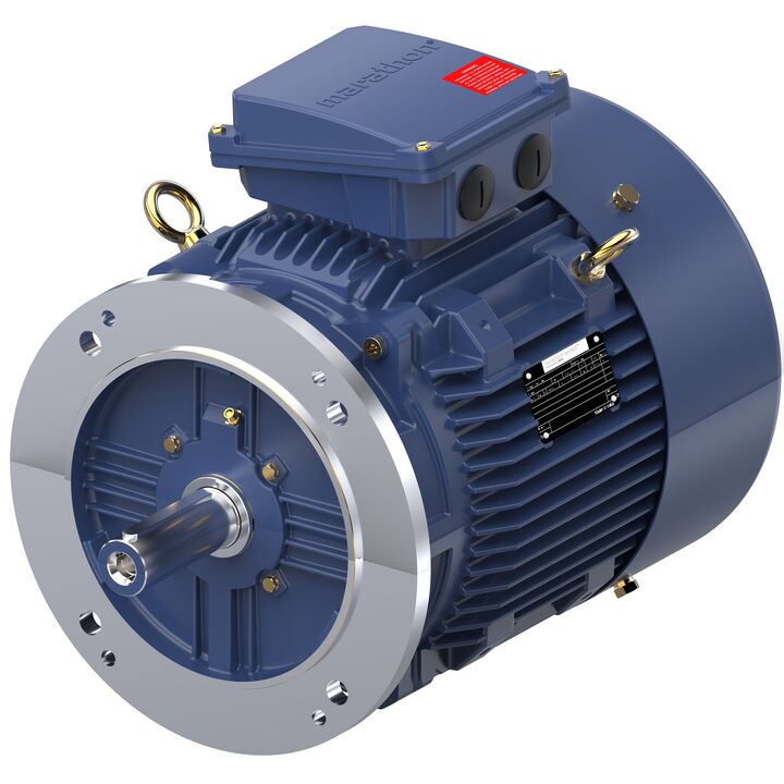 Increased Safety Motors Ex eb, Totally Enclosed Fan Cooled, 7.5 HP, 3 Ph, 50 Hz, 400 V, 729 RPM, 160M Frame