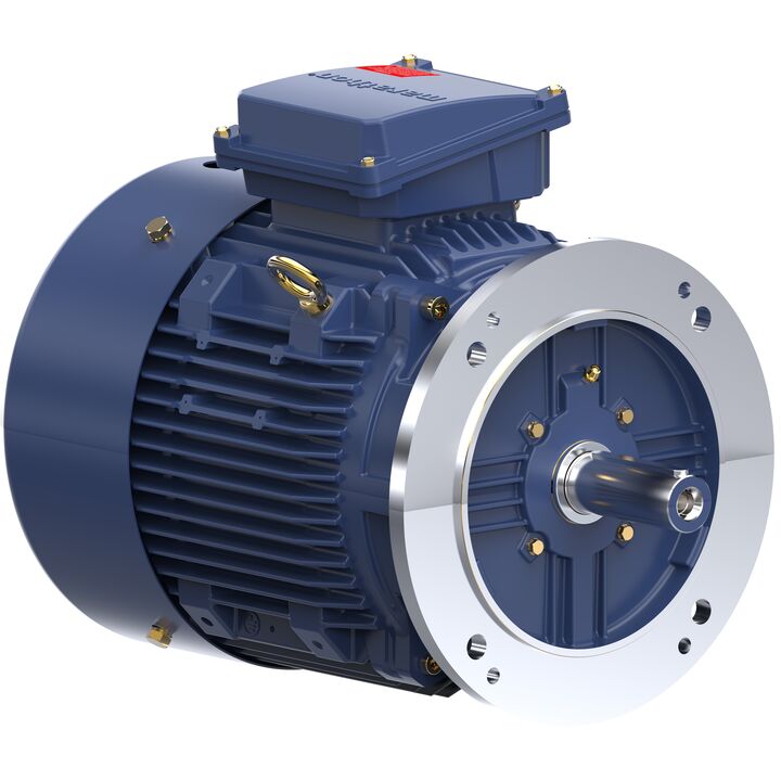 Increased Safety Motors Ex eb, Totally Enclosed Fan Cooled, 10 HP, 3 Ph, 50 Hz, 400 V, 978 RPM, 160M Frame