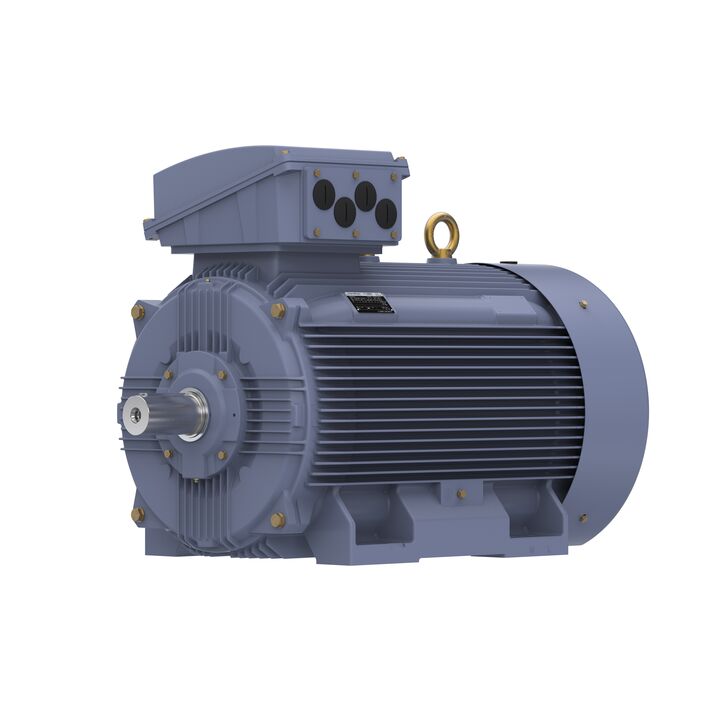 Cast Iron Motor, 270 HP, 3 Ph, 50 Hz, 380 V, 1000 RPM, 355M Frame, TEFC