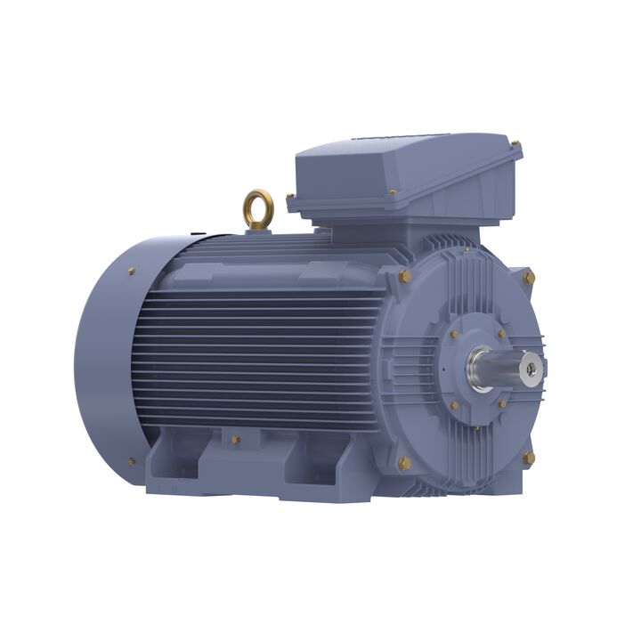 Cast Iron Motor, 150 HP, 3 Ph, 50 Hz, 415 V, 355M Frame