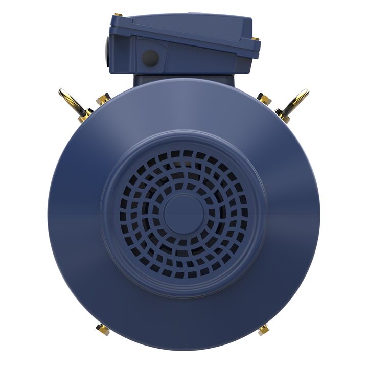 Increased Safety Motors Ex eb, Totally Enclosed Fan Cooled, 10 HP, 3 Ph, 50 Hz, 400 V, 978 RPM, 160M Frame