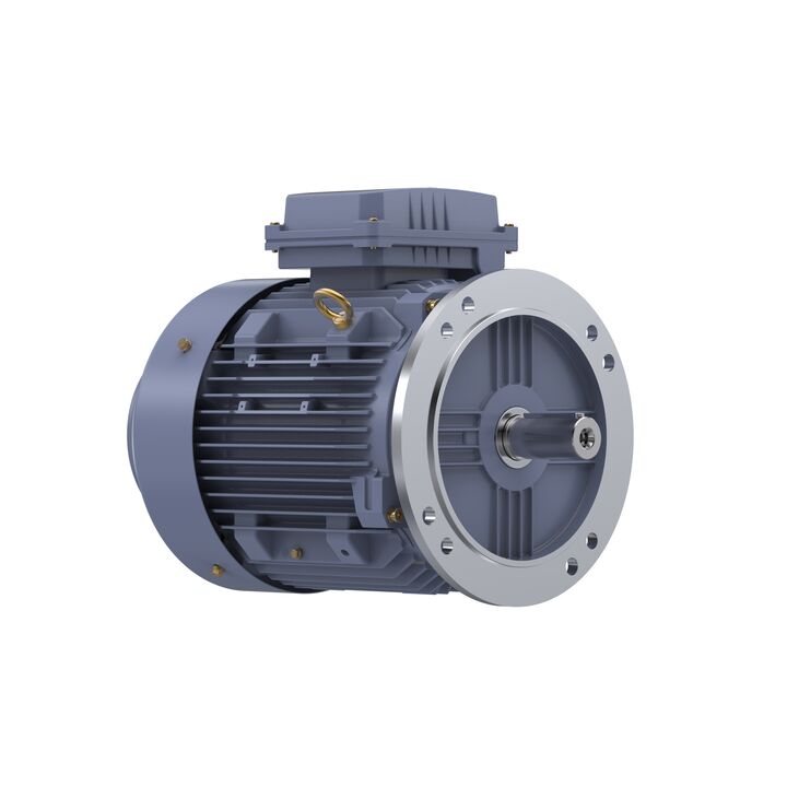 Cast Iron Motor, 5.50 HP, 3 Ph, 50 Hz, 415 V, 132M Frame