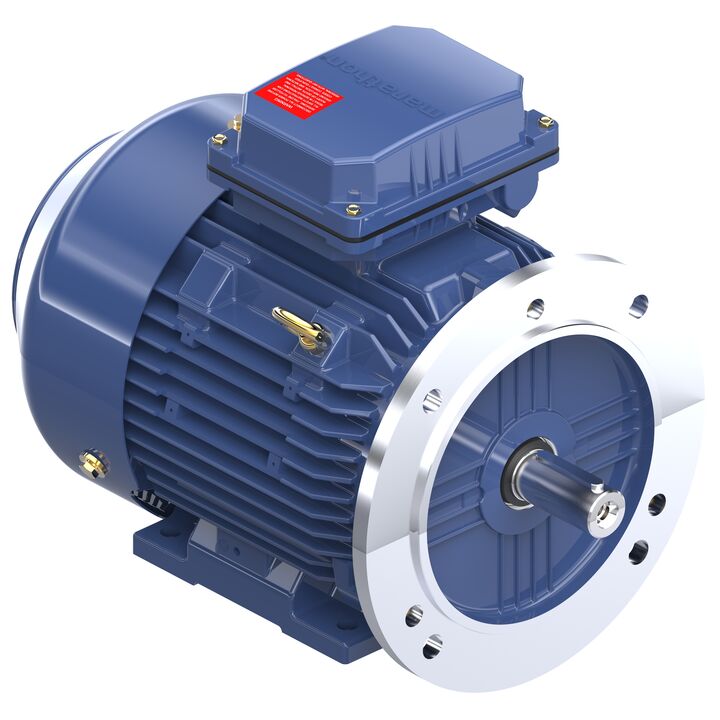 Cast Iron Motor, 3 & 2 HP, 3 Ph, 60 & 50 Hz, 230/460 & 200/400 V, 1800 & 1500 RPM, 100L Frame, TEFC