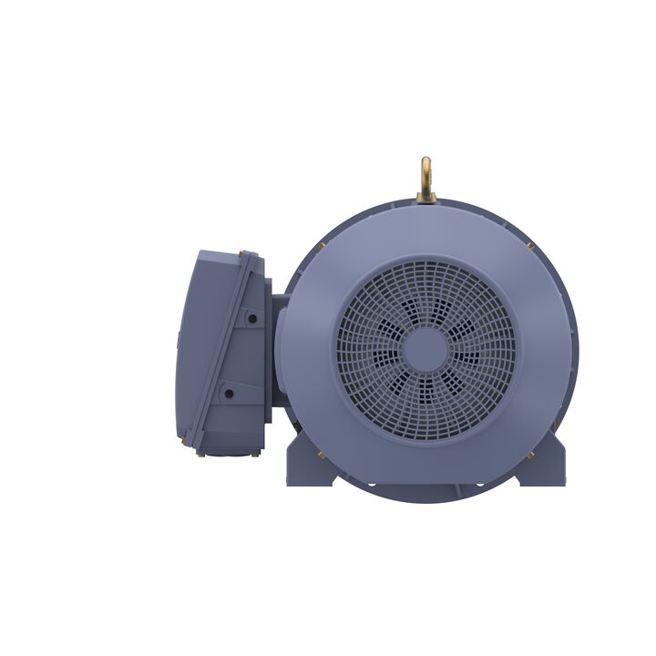 Cast Iron Motor, 270 HP, 3 Ph, 50 Hz, 400 V, 750 RPM, 355L Frame, TEFC