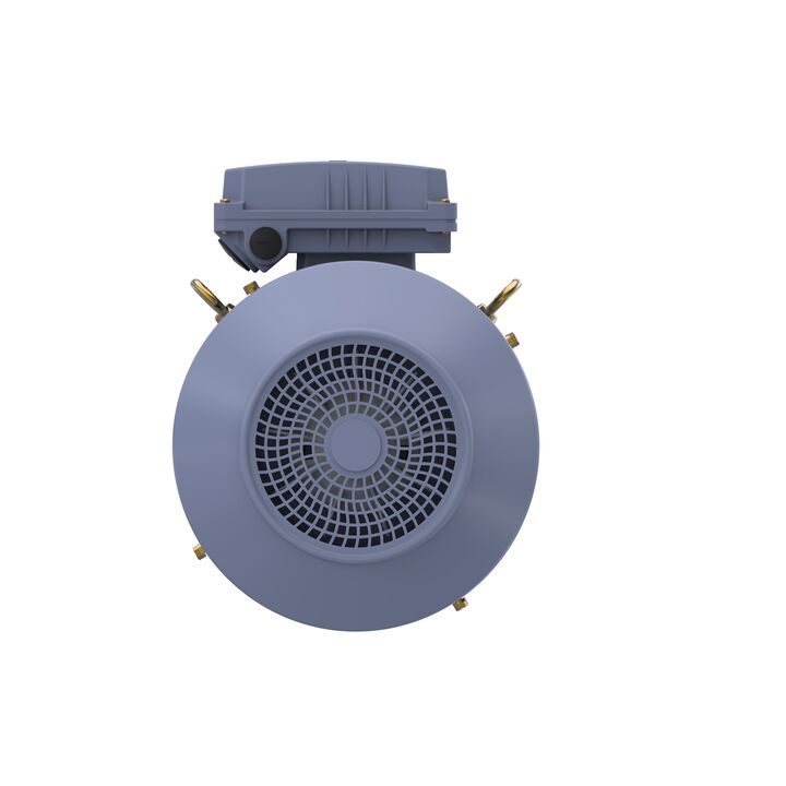 Cast Iron Motor, 5.50 HP, 3 Ph, 50 Hz, 400 V, 1000 RPM, 132M Frame, TEFC