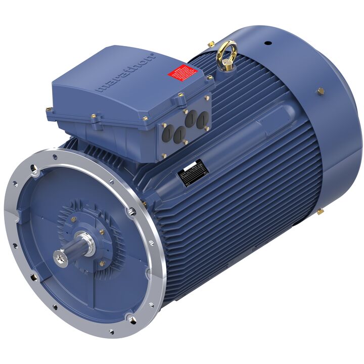 Cast Iron Motor, 335 HP, 3 Ph, 50 Hz, 400 V, 3000 RPM, 355M Frame, TEFC