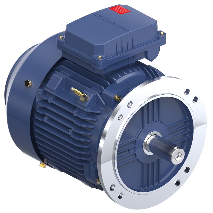 Increased Safety Motors Ex eb, Totally Enclosed Fan Cooled, 10 HP, 3 Ph, 50 Hz, 400 V, 2938 RPM, 132S Frame