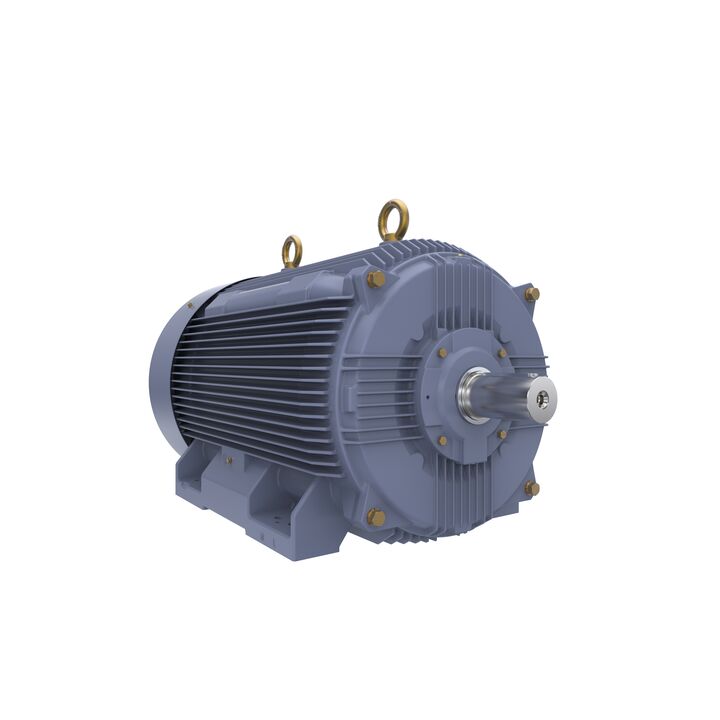 Cast Iron Motor, 150 HP, 3 Ph, 50 Hz, 415 V, 355M Frame