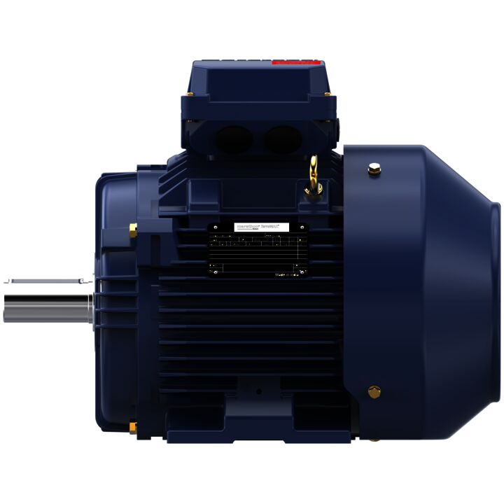 Cast Iron Motor, 4 HP, 3 Ph, 50 Hz, 400 V, 1000 RPM, 132S Frame, TEFC