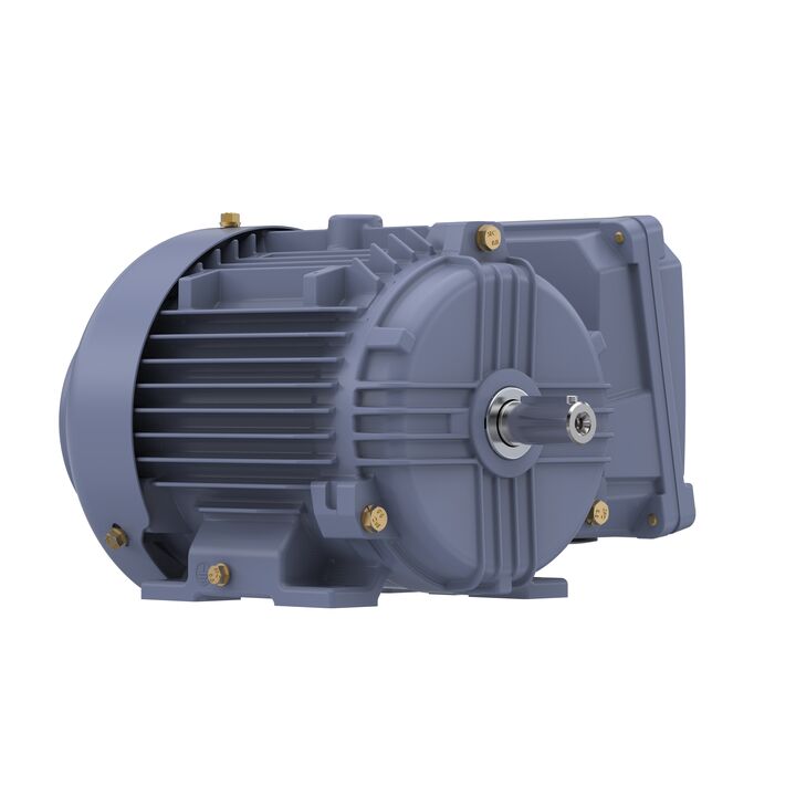Cast Iron Motor, 1 HP, 3 Ph, 50 Hz, 380 V, 1500 RPM, 80M Frame, TEFC