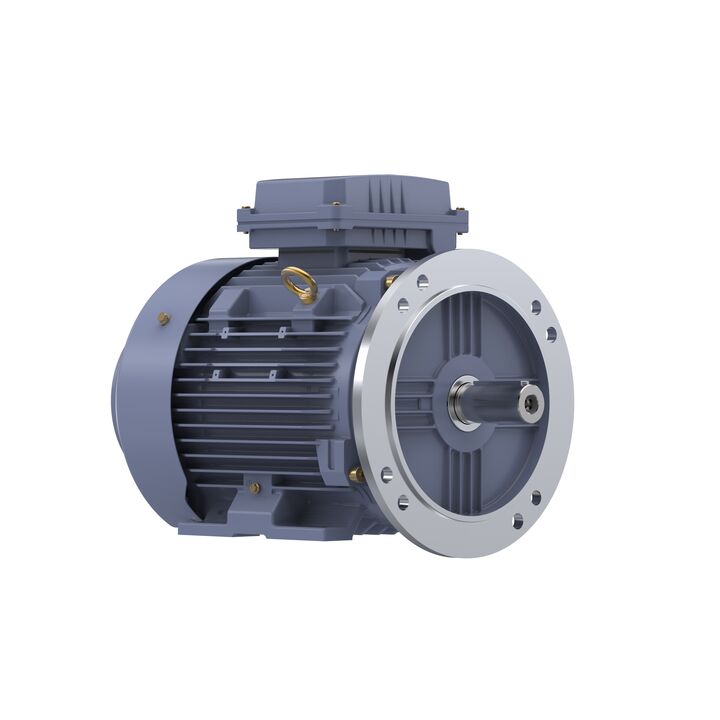 Cast Iron Motor, 5.50 HP, 3 Ph, 50 Hz, 400 V, 1000 RPM, 132M Frame, TEFC