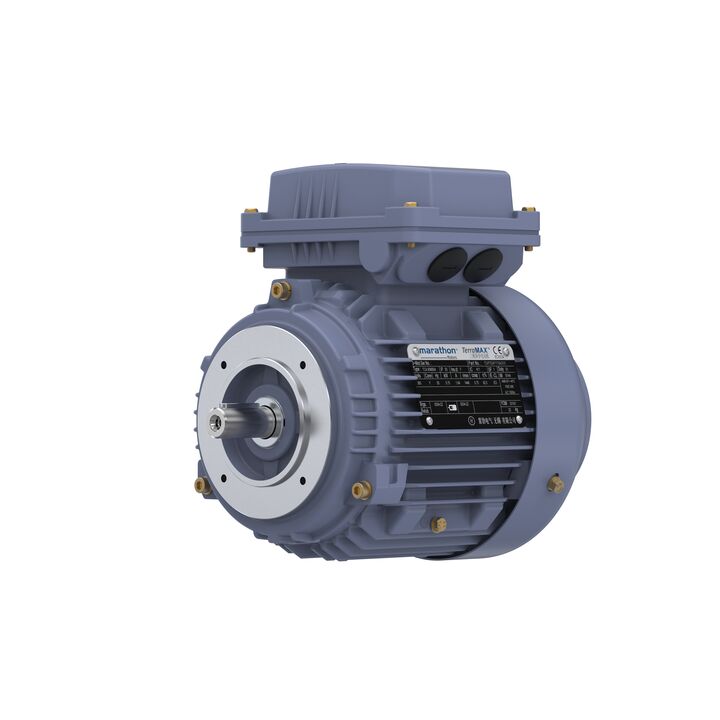 Cast Iron Motor, 1.50 HP, 3 Ph, 50 Hz, 380 V, 3000 RPM, 80M Frame, TEFC