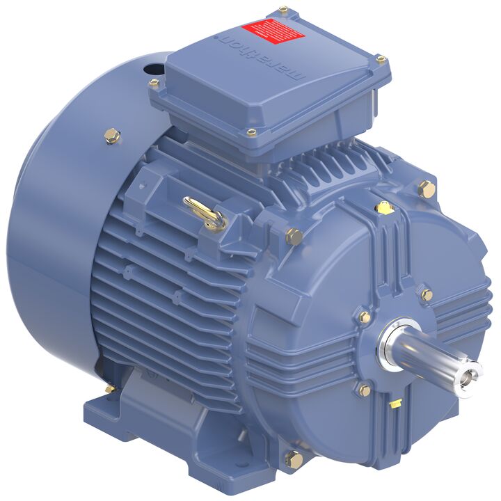 Increased Safety Motors Ex eb, Totally Enclosed Fan Cooled, 10 HP, 3 Ph, 50 Hz, 400 V, 978 RPM, 160M Frame