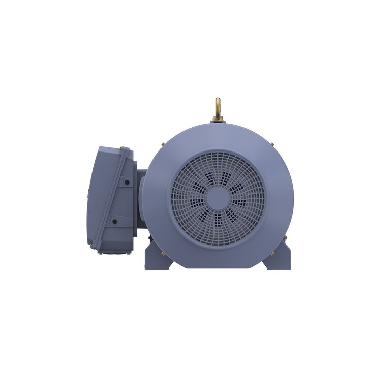 Cast Iron Motor, 150 HP, 3 Ph, 50 Hz, 415 V, 355M Frame