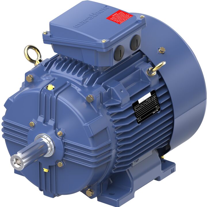 Increased Safety Motors Ex eb, Totally Enclosed Fan Cooled, 7.5 HP, 3 Ph, 50 Hz, 400 V, 729 RPM, 160M Frame