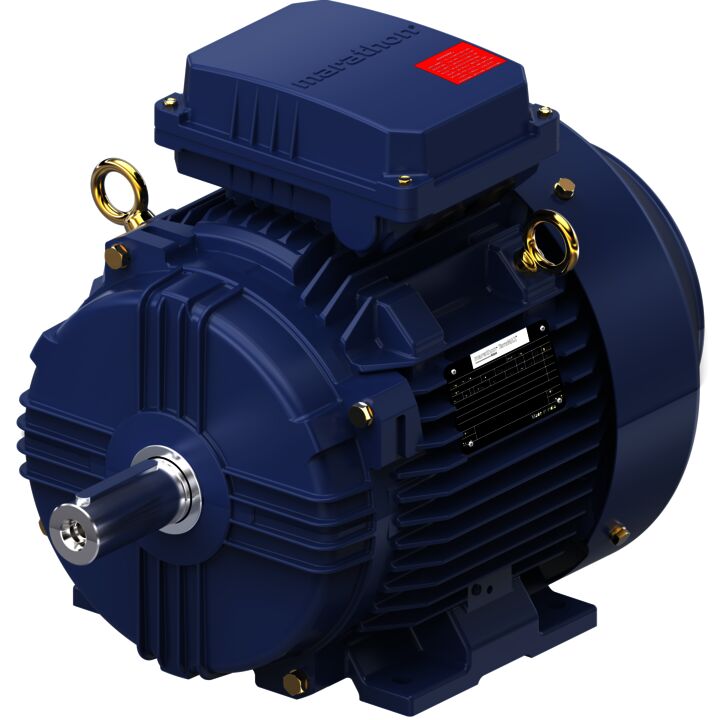 Cast Iron Motor, 4 HP, 3 Ph, 50 Hz, 400 V, 1000 RPM, 132S Frame, TEFC