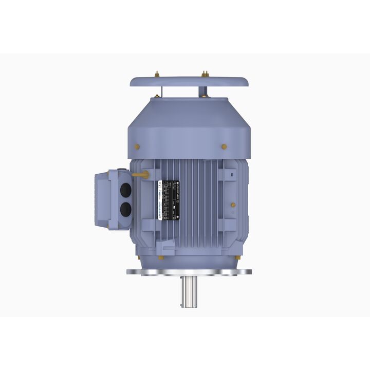 Cast Iron Motor, 4 HP, 3 Ph, 50 Hz, 380 V, 1000 RPM, 132S Frame, TEFC