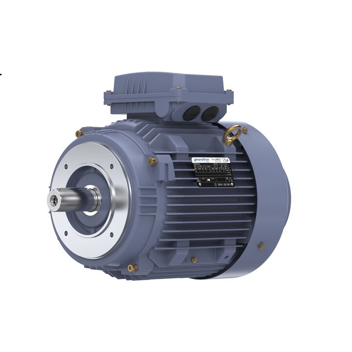 Cast Iron Motor, 4 HP, 3 Ph, 50 Hz, 380 V, 1000 RPM, 132S Frame, TEFC
