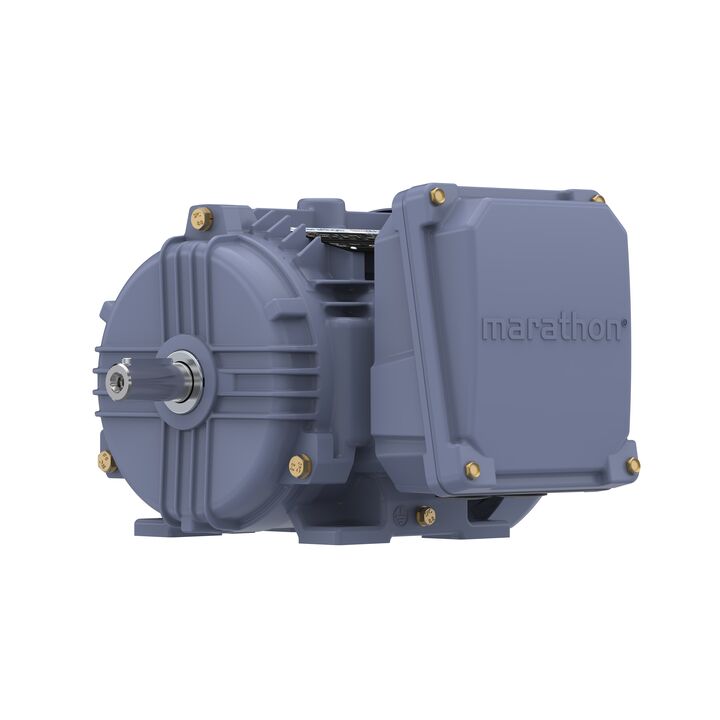 Cast Iron Motor, 1.50 HP, 3 Ph, 50 Hz, 380 V, 3000 RPM, 80M Frame, TEFC
