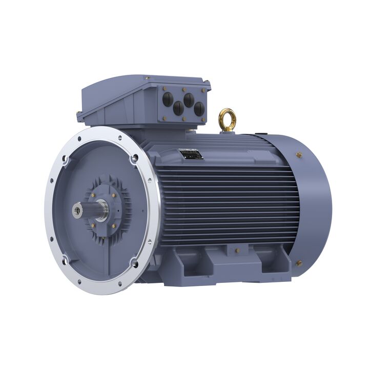 Cast Iron Motor, 270 HP, 3 Ph, 50 Hz, 380 V, 1000 RPM, 355M Frame, TEFC