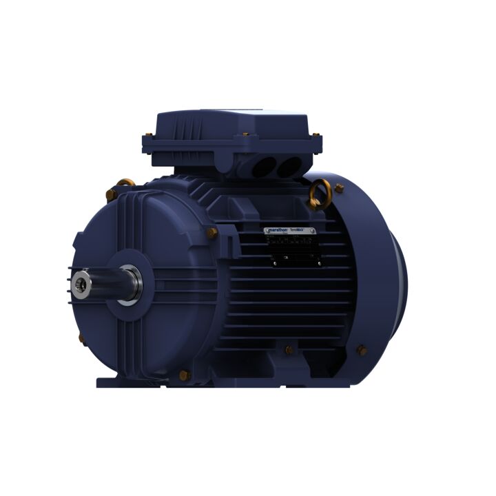 Cast Iron Motor, 4 HP, 3 Ph, 50 Hz, 400 V, 1000 RPM, 132S Frame, TEFC