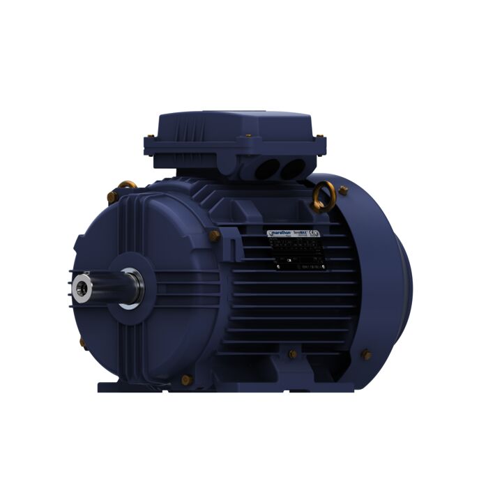 Cast Iron Motor, 4 HP, 3 Ph, 50 Hz, 380 V, 1000 RPM, 132S Frame, TEFC