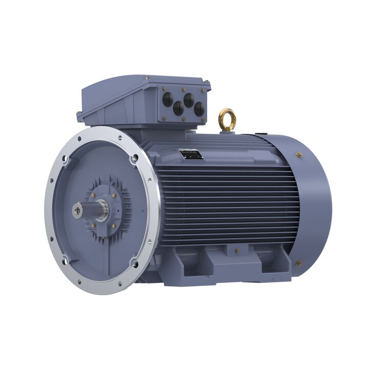 Cast Iron Motor, 270 HP, 3 Ph, 50 Hz, 400 V, 750 RPM, 355L Frame, TEFC