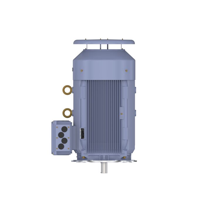 Cast Iron Motor, 270 HP, 3 Ph, 50 Hz, 380 V, 750 RPM, 355L Frame, TEFC