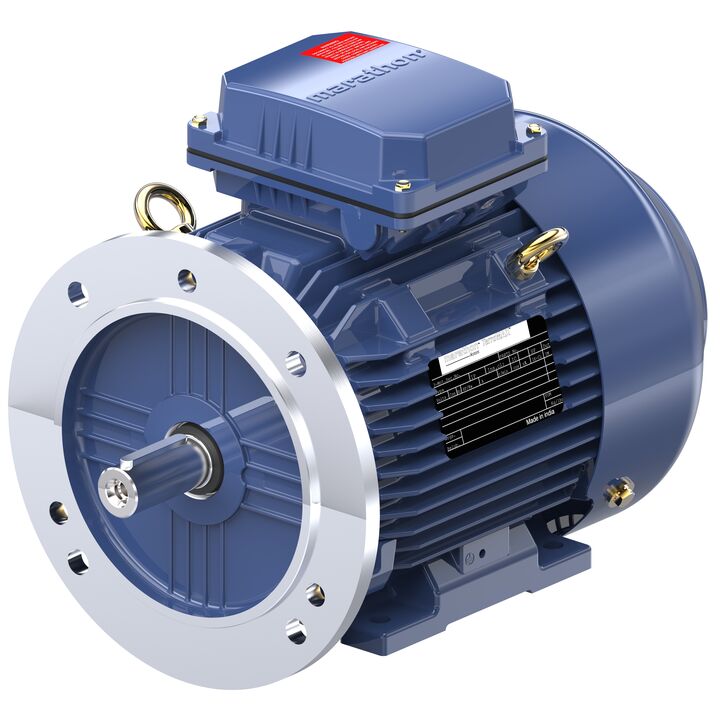 Cast Iron Motor, 3 & 2 HP, 3 Ph, 60 & 50 Hz, 230/460 & 200/400 V, 1800 & 1500 RPM, 100L Frame, TEFC