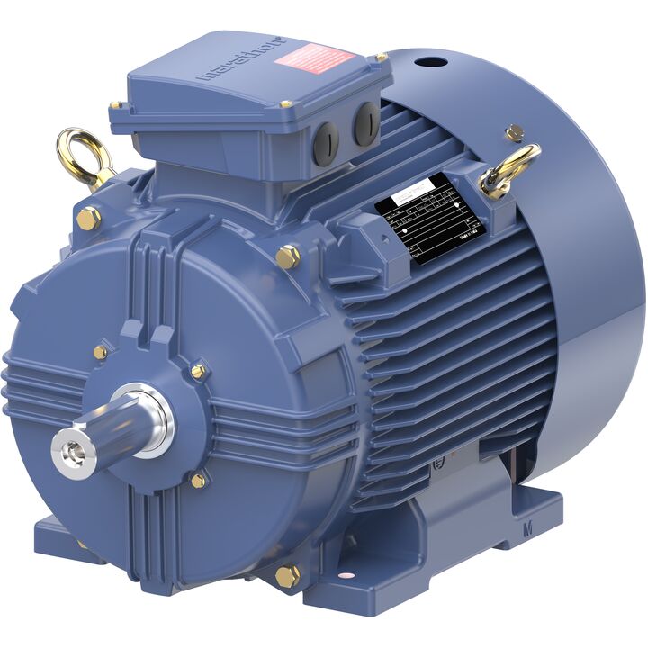 Increased Safety Motors Ex eb, Totally Enclosed Fan Cooled, 15 HP, 3 Ph, 50 Hz, 400 V, 730 RPM, 180L Frame